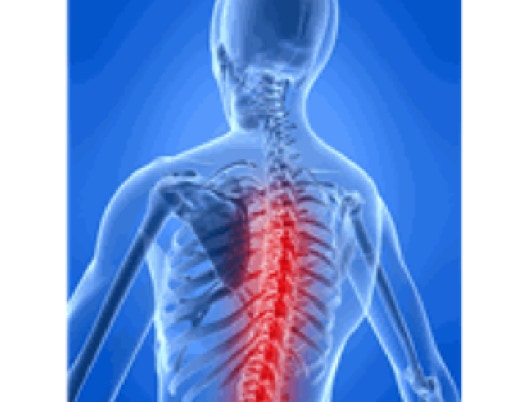 spinal xray image for Back Pain Headache Sport Injury Podiatrist Nutrition Massage